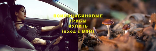 каннабис Гусиноозёрск