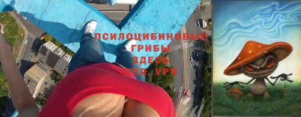 ешки Гусь-Хрустальный