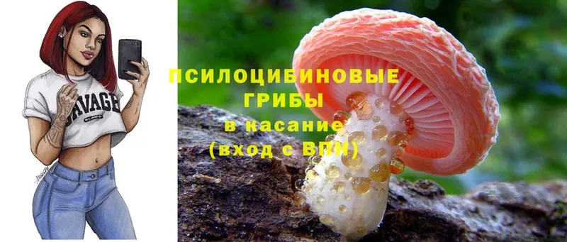 Псилоцибиновые грибы MAGIC MUSHROOMS  магазин продажи   Жуковка 