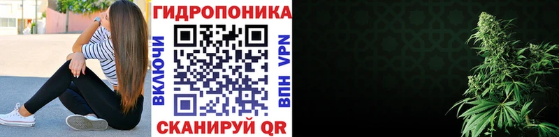 Конопля Amnesia  блэк спрут   Жуковка  купить  